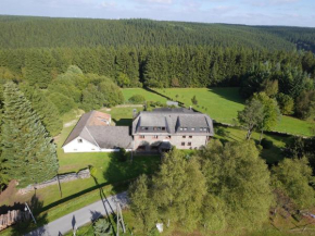  Spacious Holiday Home in Kalterherberg with Sauna and Garden  Höfen